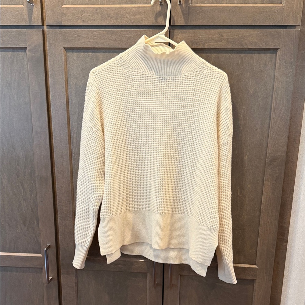 Everlane Women's 100% Cashmere Mock Turtleneck Sweater